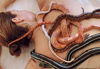 Significado de sonhar com cobra